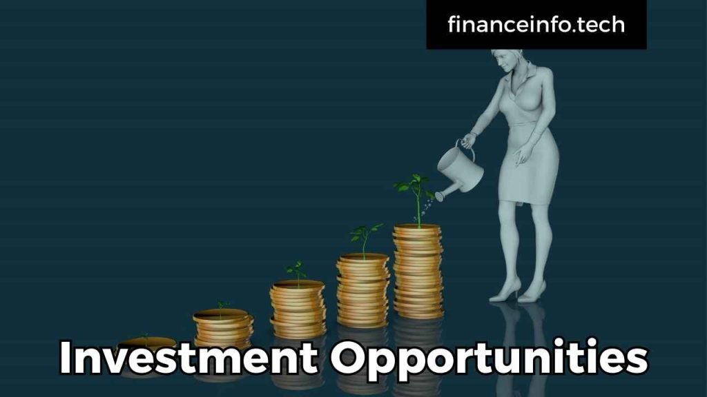 Investment Opportunities