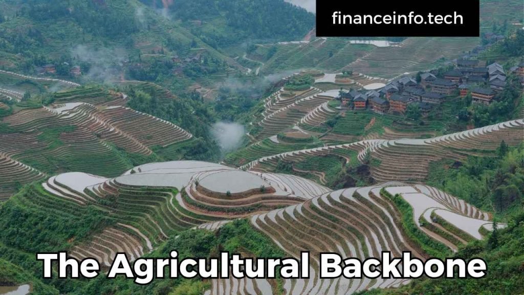 The Agricultural Backbone