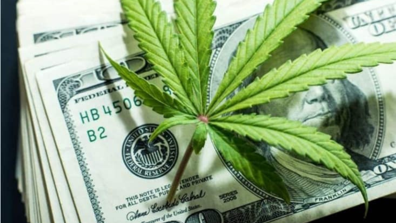 tlry-stock:-is-tilray-a-high-risk-high-reward