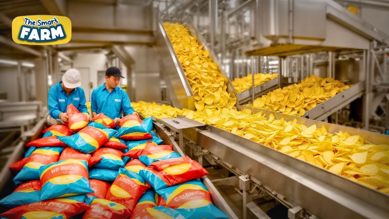 Chips: A Crispy Delight Through History, Variety, and Culture